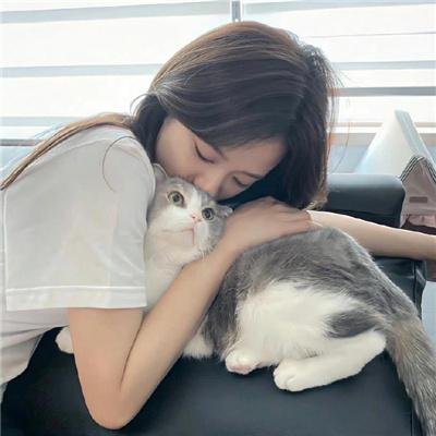 百草奇缘海报